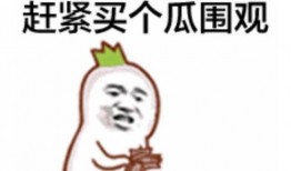 朝阳吃瓜群众什么意思.金主爆料,金主爆料背后的真相